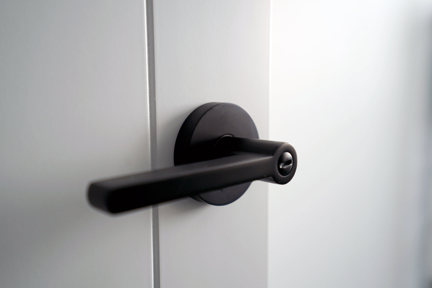 Door Lock Privacy - Black